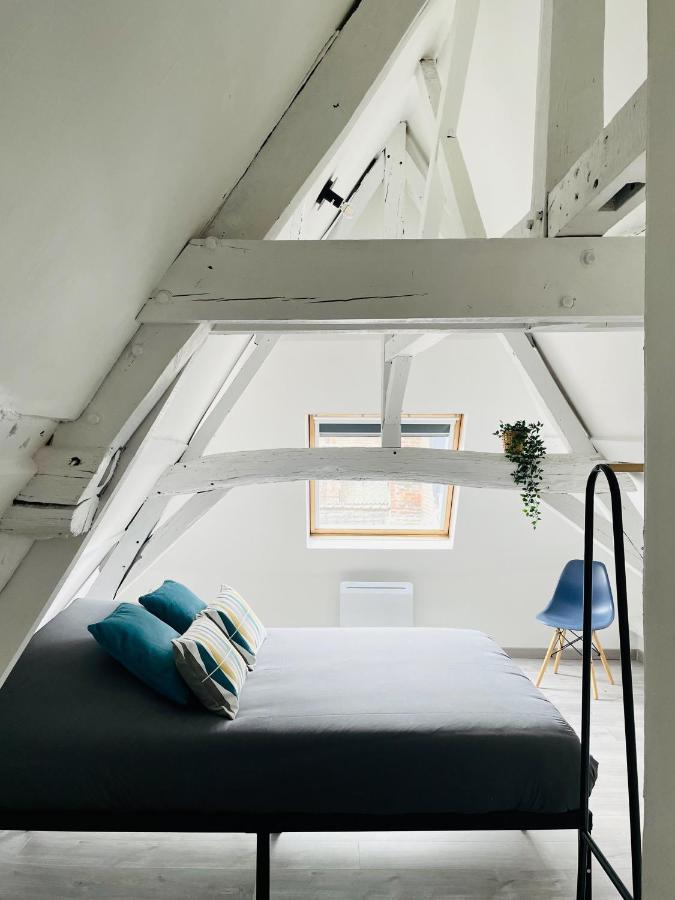 Be My Apparts, Appartement De Charme "Au Beffroi", Douai, Coeur De Ville 外观 照片
